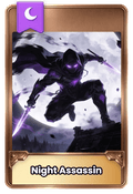 Night Assassin
