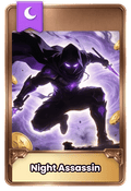 Night Assassin